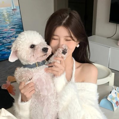汪汪队立大功第一季